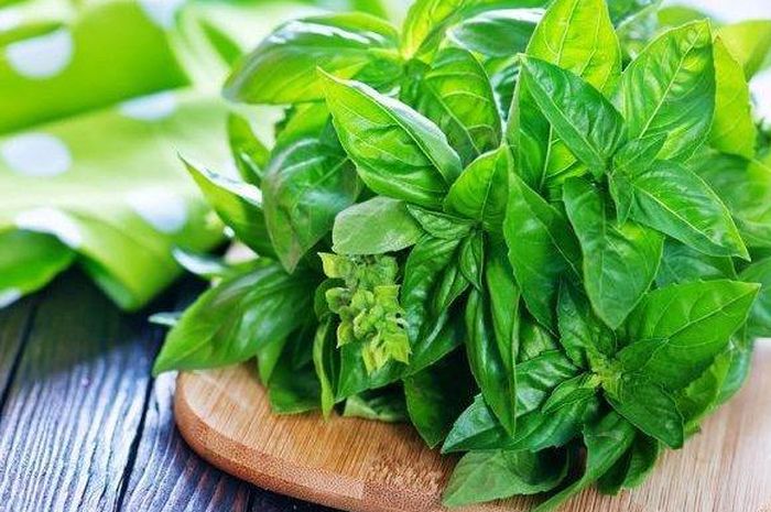 resep herbal penangkal batuk