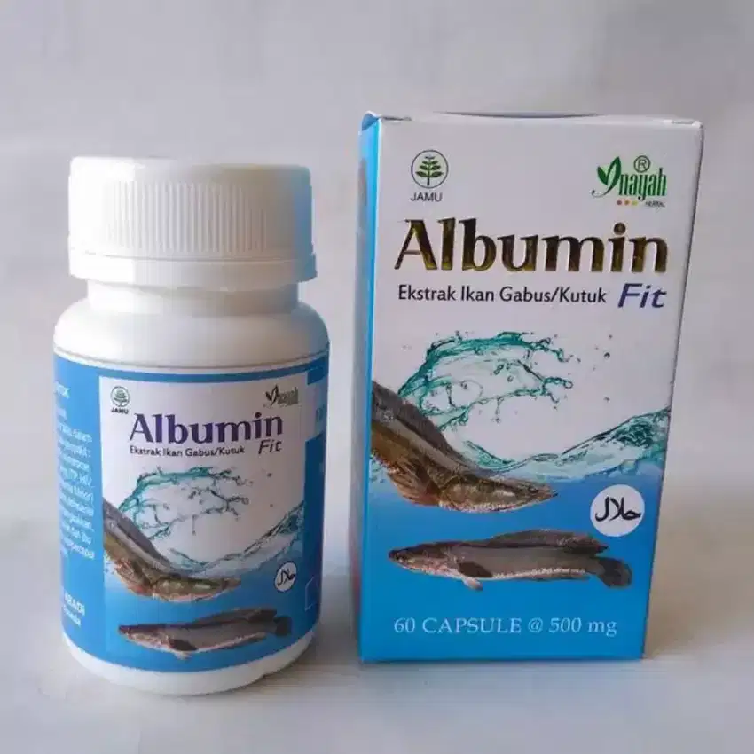 referensi merek suplemen albumin