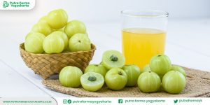 jus-berkalsium-tinggi