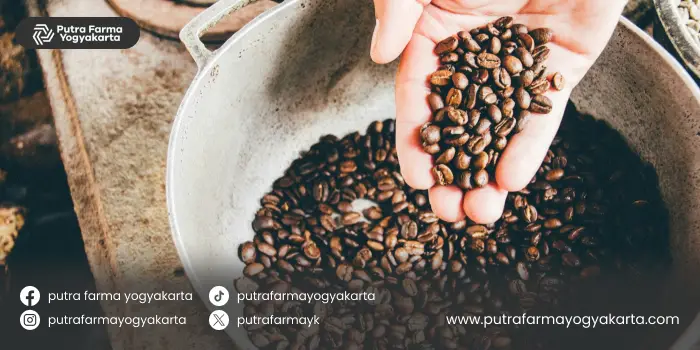 kebaikan-kopi-luwak