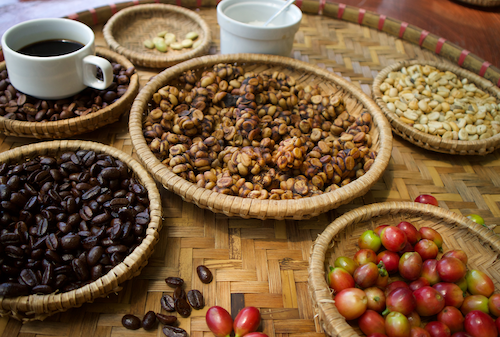 kebaikan kopi luwak