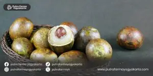 kebaikan-buah-matoa
