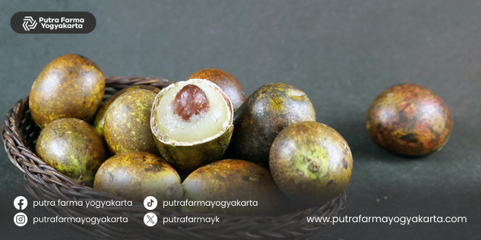 kebaikan-buah-matoa