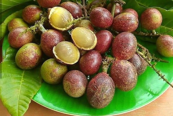 kebaikan buah matoa