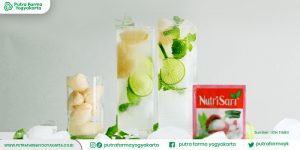 kreasi-olahan-es-nutrisari