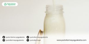 maklon-susu-kedelai
