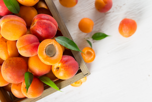 referensi buah sumber pektin