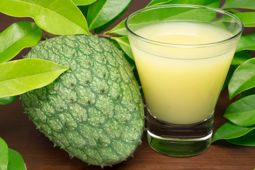 referensi jus bantu diet