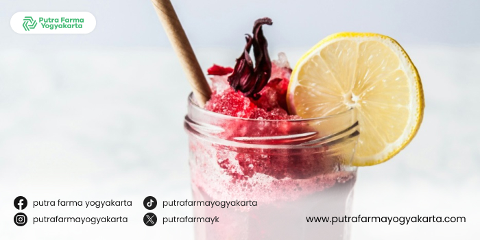 referensi-jus-bantu-diet