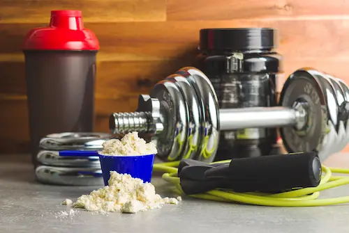 mendalami whey protein isolate