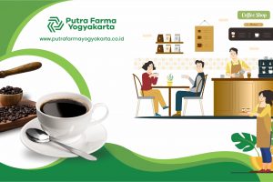 6 Rekomendasi Kopi Robusta, Taste-nya Nggak Murahan