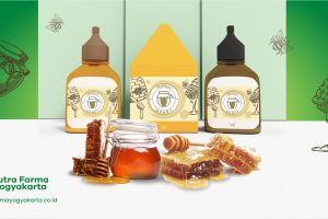 Mengulas Tentang Propolis, Fakta Apa Aja Sih Dibaliknya?