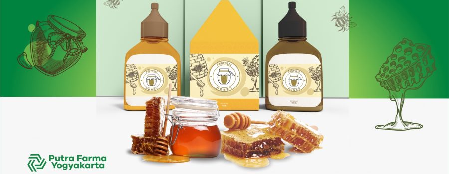 Mengulas Tentang Propolis, Fakta Apa Aja Sih Dibaliknya?