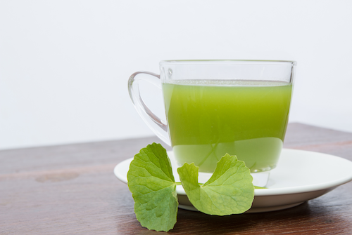 racikan herbal sembuhkan hipertensi