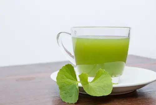 racikan herbal sembuhkan hipertensi