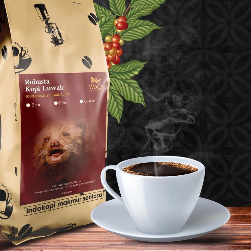 rekomendasi kopi robusta jempolan