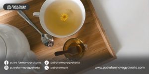 herbal-tradisional-redakan-vertigo