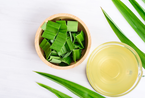 Keutamaan pandan wangi