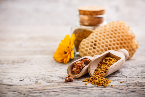 Mengulas tentang propolis