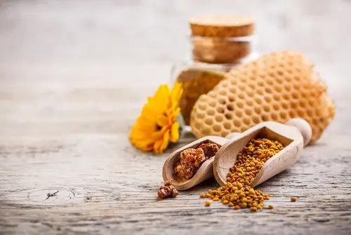 Mengulas tentang propolis