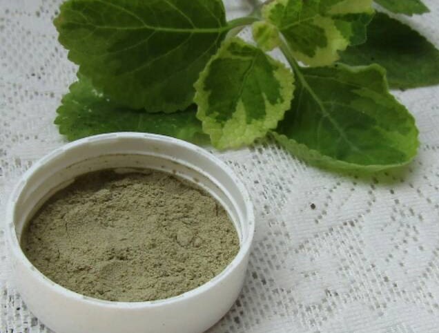 ragam jamu alami lancarkan ASI