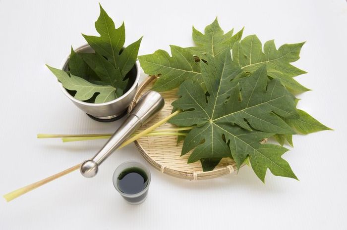 ragam jamu alami lancarkan ASI