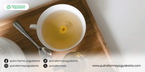 Aneka-ragam-teh-diet-alami