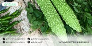 Keajaiban-jus-pare