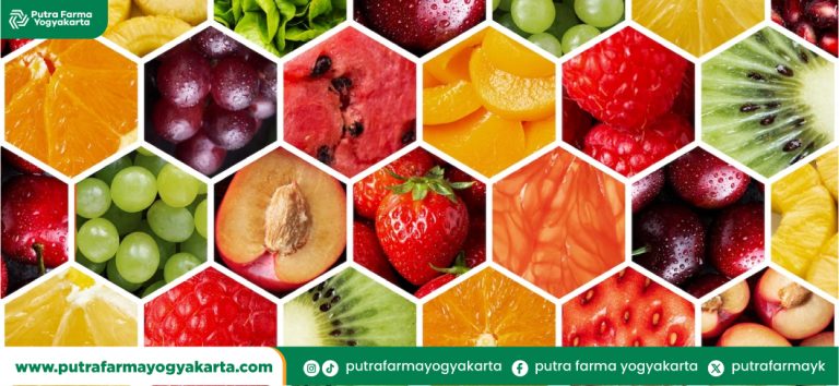 aneka-buah-tuntaskan-panas-dalam