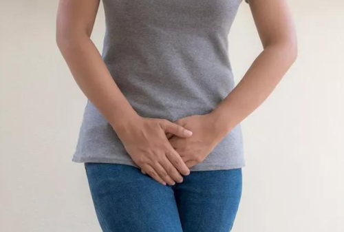 keunggulan pinang muda untuk fertilitas