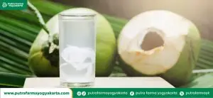 kreasi-menyegarkan-air-kelapa
