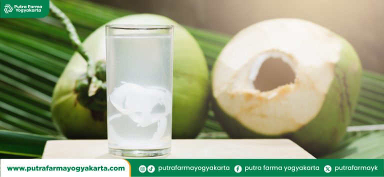 kreasi-menyegarkan-air-kelapa