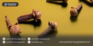 racikan-herbal-cegah-tipes