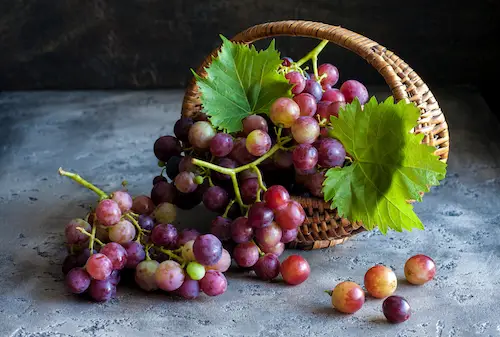 rekomendasi buah tuntaskan panas dalam