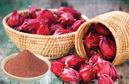 rosella tea business idea