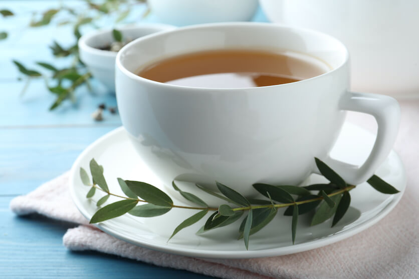 Teh Herbal Tangkal Hidung Tersumbat