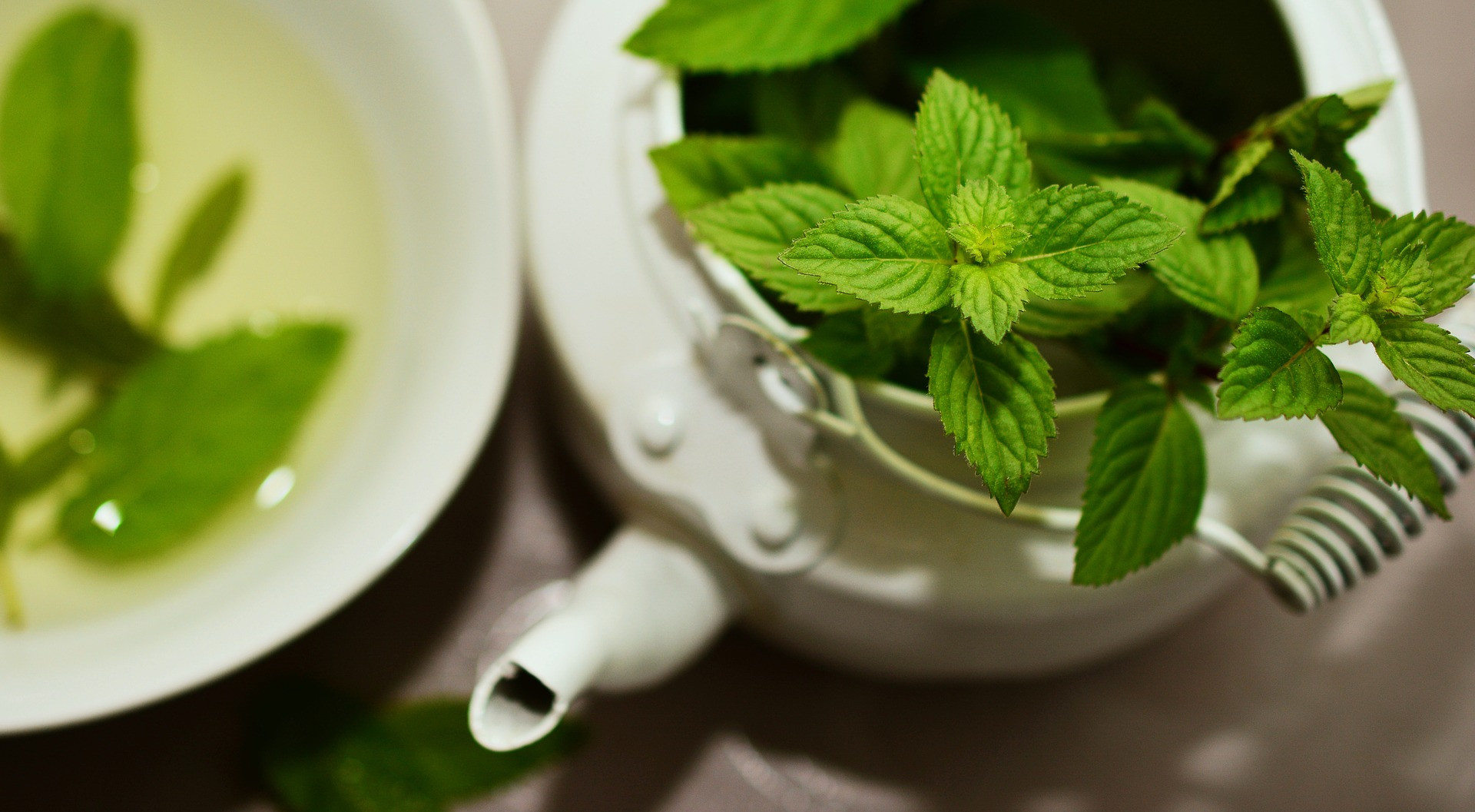 teh herbal tangkal hidung tersumbat