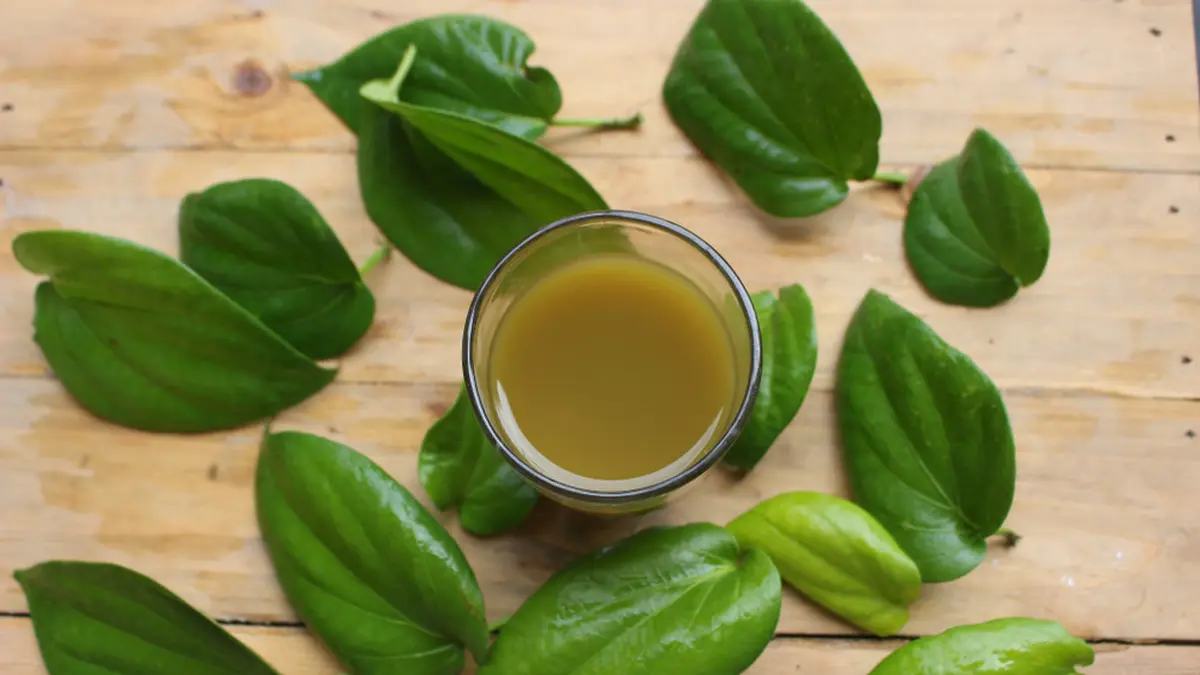 jamu tradisional usir bau miss V
