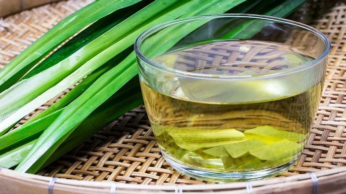 jamu tradisional usir bau miss V