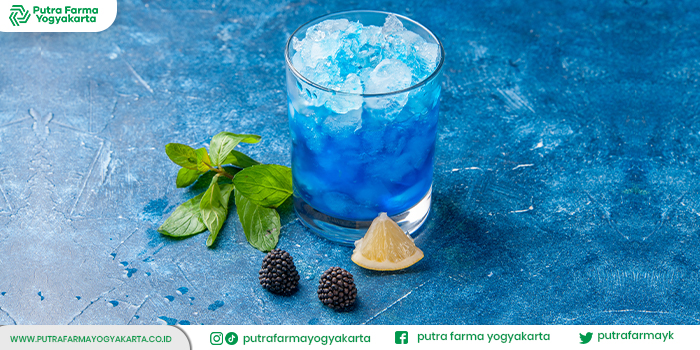 olahan-blue-ocean-drink
