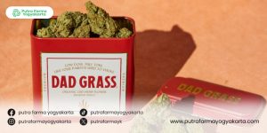 ragam-jamu-perkuat-stamina