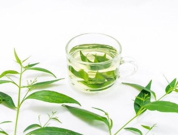 Jamu untuk batuk pilek