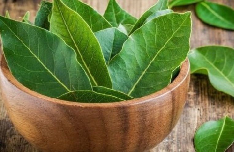 obat tradisional saraf kejepit