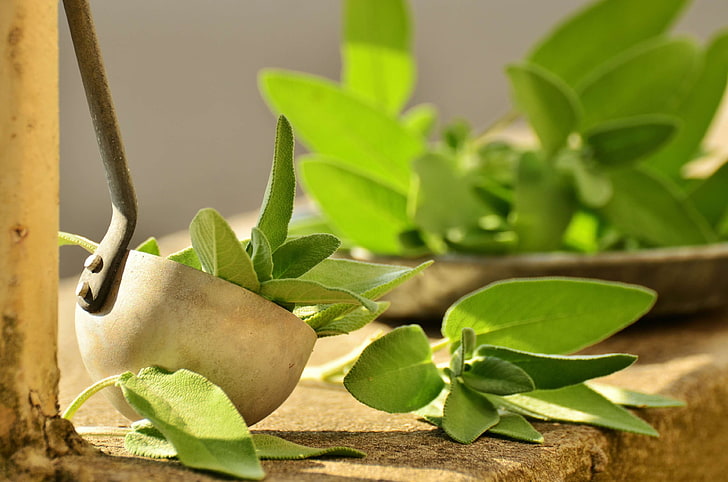 herbal basmi sakit tenggorokan