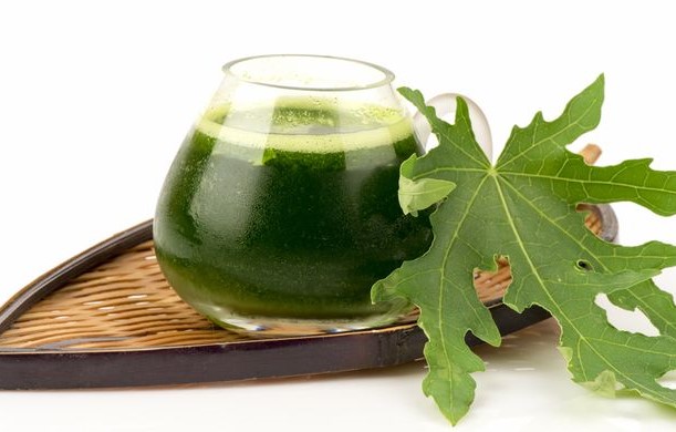jamu alami pelancar haid