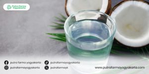 kandungan-air-kelapa-tua