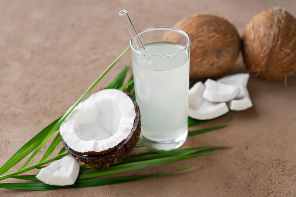 kandungan air kelapa tua