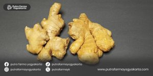 obat-tradisional-saraf-kejepit