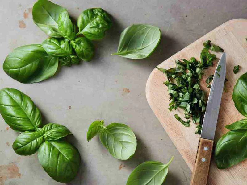 pengobatan herbal hipertensi