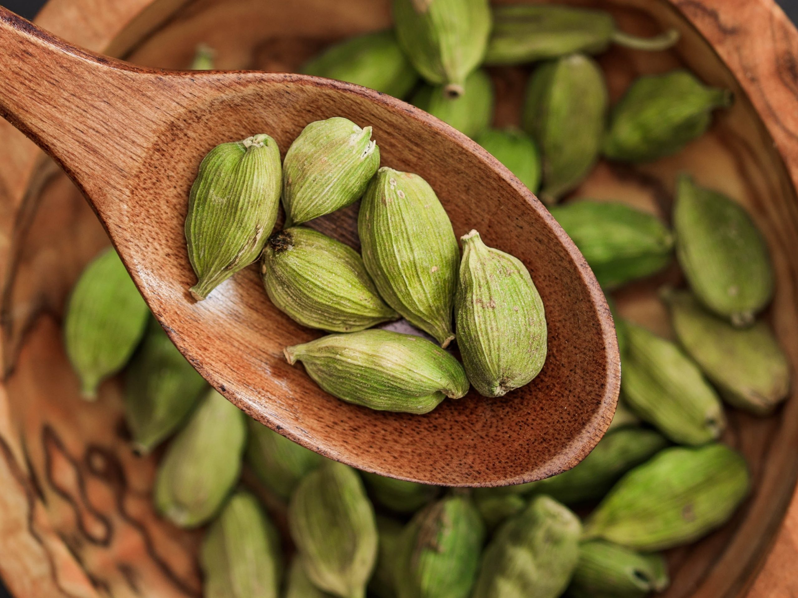 pengobatan herbal hipertensi